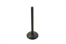 (image for) 1200cc Nitrate Steel Intake Valve