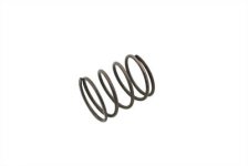 (image for) Clutch Pushrod Seal Spring