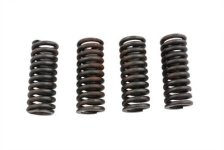 (image for) Valve Spring Set