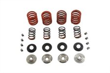 (image for) Valve Spring Kit