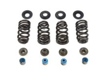 (image for) Valve Spring Kit