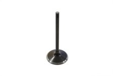 (image for) 1200cc Black Melonite Stem Intake Valve