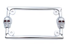 (image for) License Plate Frame Chrome