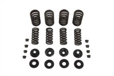 (image for) Valve Spring Kit