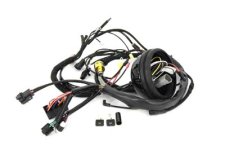 (image for) Main Wiring Harness