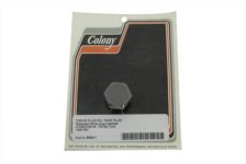 (image for) Parkerized Timing and Oil Tank Plug