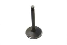 (image for) Nitrate Steel Intake Valve