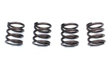 (image for) Valve Spring Kit