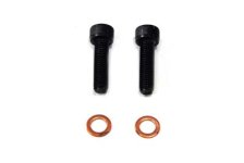 (image for) Fork Damper Tube Screw and Washer