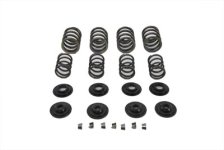 (image for) Valve Spring Kit