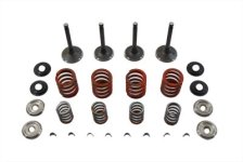 (image for) Nitrate Valve and Spring Kit