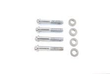 (image for) Mount Bolt Kit for Brake Caliper Chrome