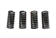 (image for) Valve Spring Set