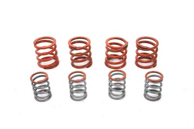 Valve Spring Set